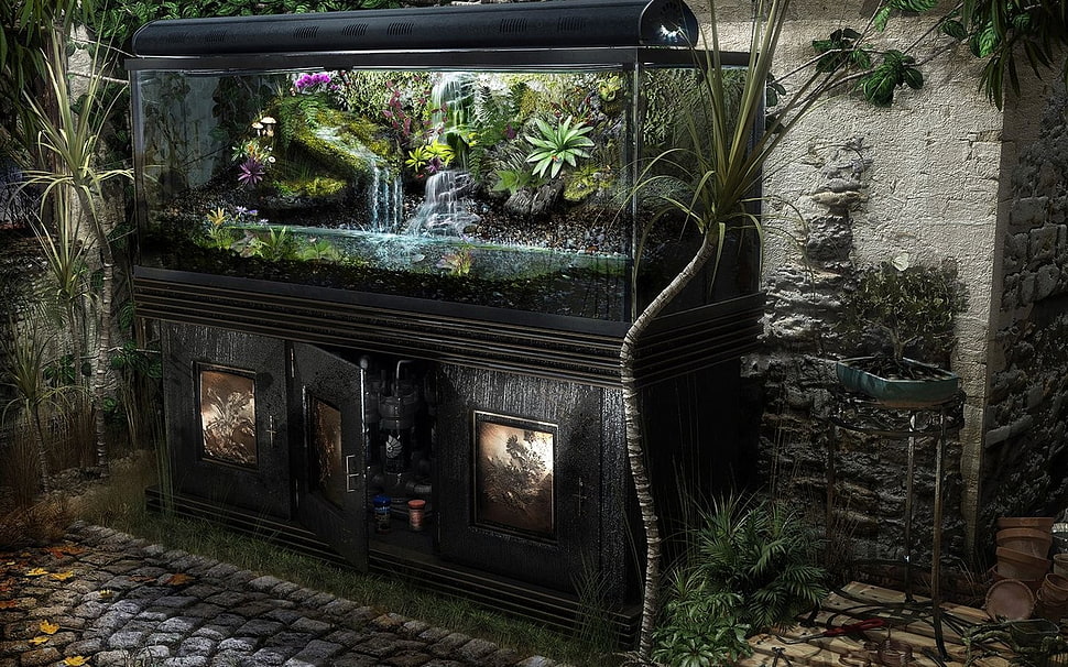 rectangular clear glass fish tank with cabinet, aquarium HD wallpaper
