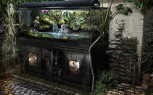 rectangular clear glass fish tank with cabinet, aquarium HD wallpaper
