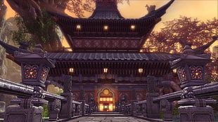 brown pagoda at daytime HD wallpaper