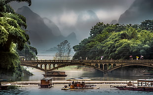 people in brown concrete bridge, china HD wallpaper