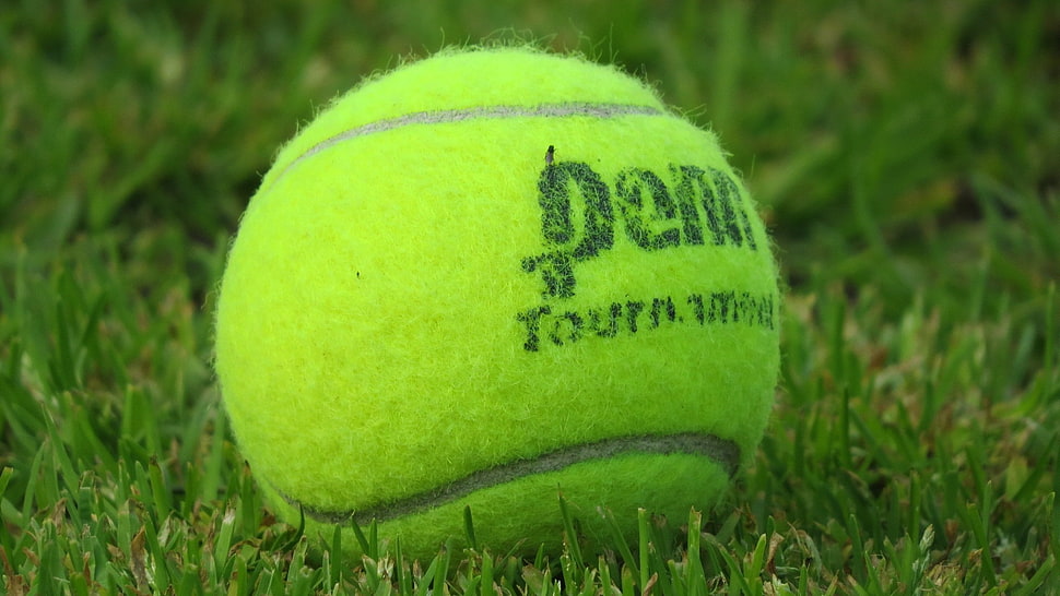 green tennis ball, tennis HD wallpaper