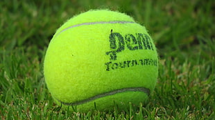 green tennis ball, tennis