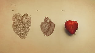 red strawberry, heart, digital art, minimalism, simple HD wallpaper