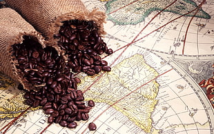 bunch of coffee beans on top of globe map