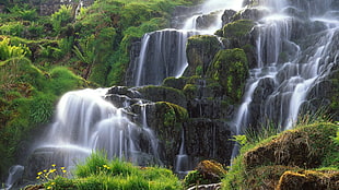 waterfalls and trees, waterfall, nature HD wallpaper