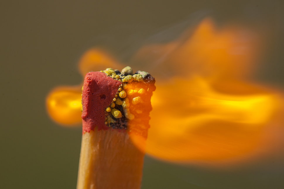 match stick, macro, matchstick, fire HD wallpaper