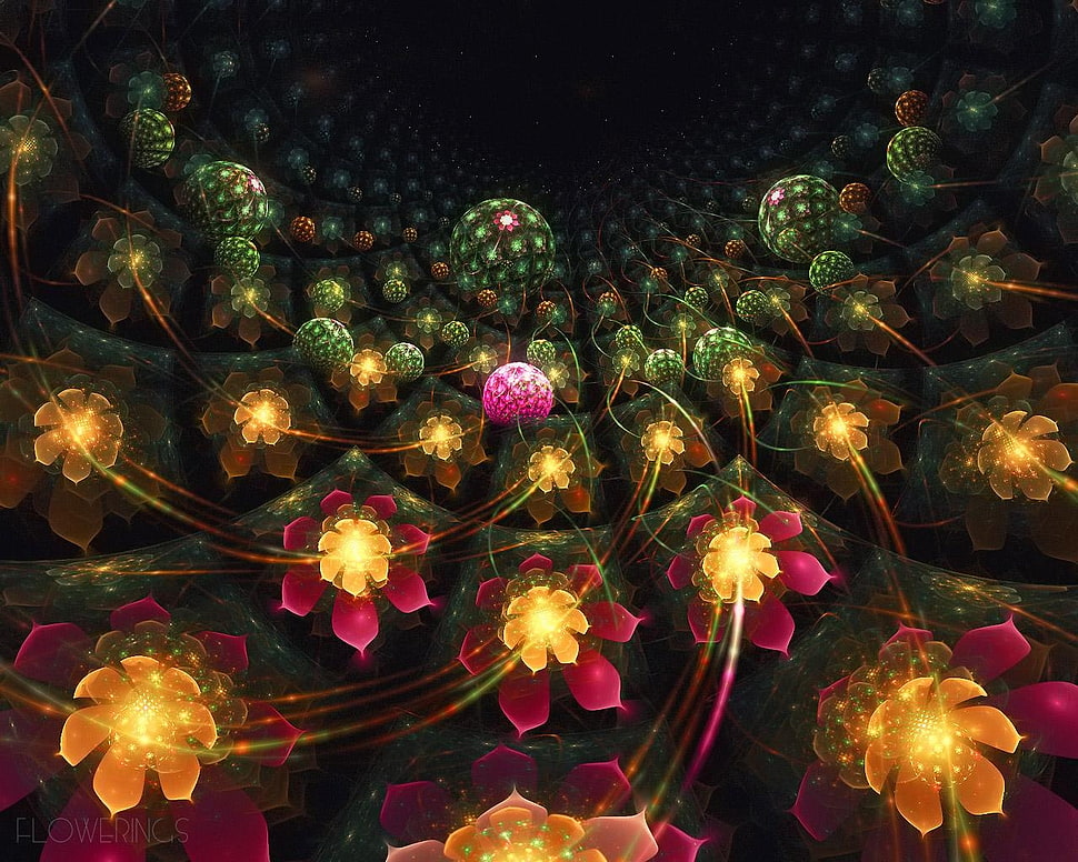 Fractal,  Flowers,  Patterns,  Bright HD wallpaper