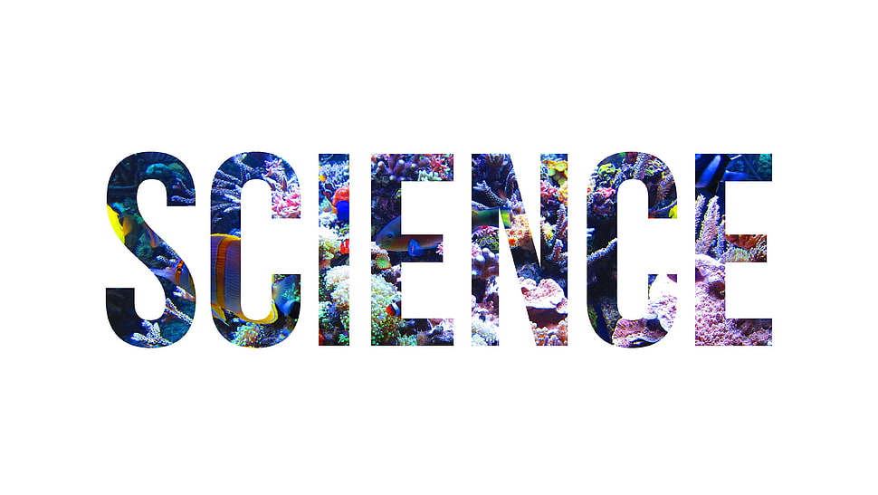 Science text, science, fish, aquarium, typography HD wallpaper