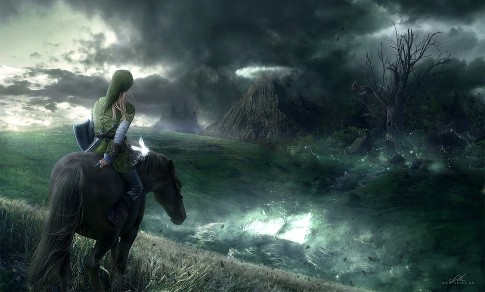 Link riding horse digital wallpaper, The Legend of Zelda, Link, navi HD wallpaper