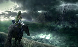 Link riding horse digital wallpaper, The Legend of Zelda, Link, navi