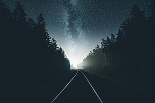 gray asphalt road, photography, railway, night, forest