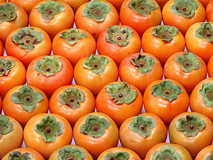 closeup photo of piled orange vegetables