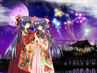 two black haired female anime character wearing kimono during night time with fireworks digital wallpaper HD wallpaper