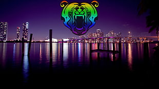 assorted color of water falls, cityscape, river, bears