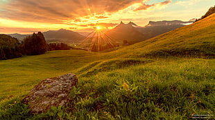 grass fields near mountains during sunset HD wallpaper