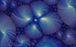 blue swirl photography