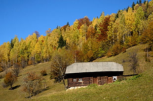 brown wooden cabin, farm, forest, mountains HD wallpaper