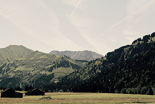 grass, mountains, trees, Austria, sky