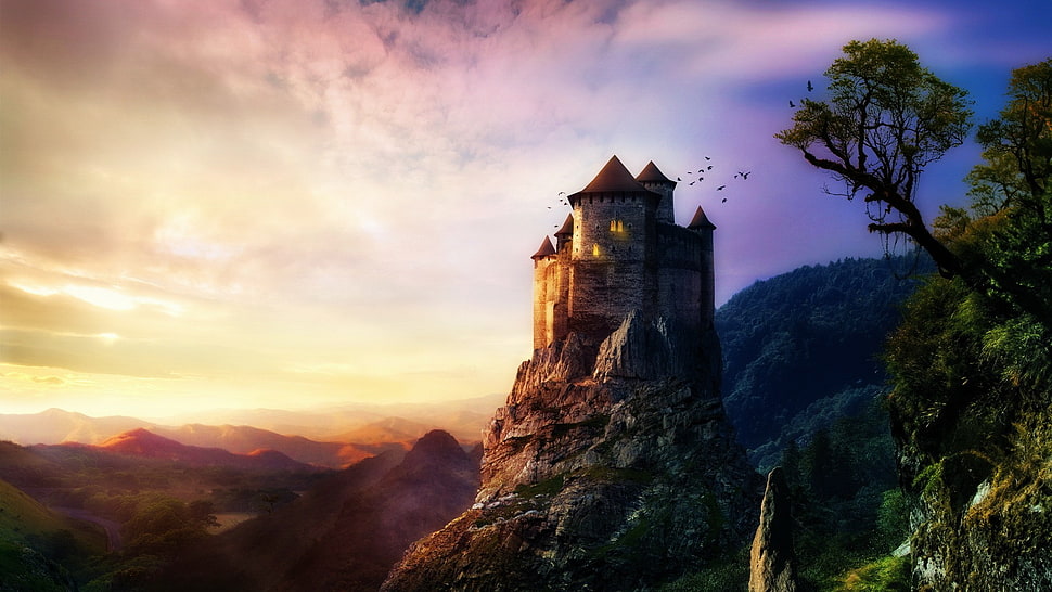 brown castle on mountain, castle HD wallpaper