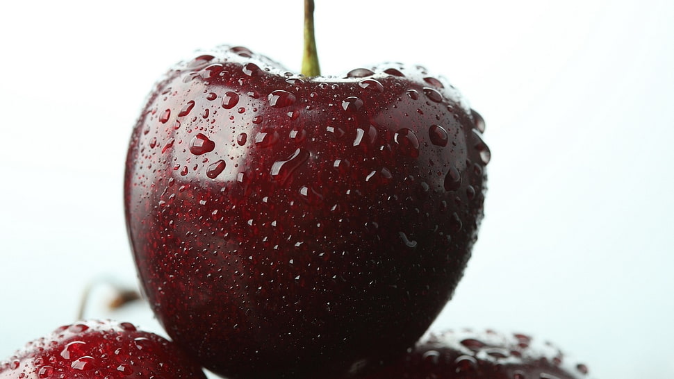 close up photography of red apple HD wallpaper