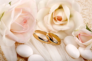 close-up of gold-colored rings near white petaled flowers and eggs