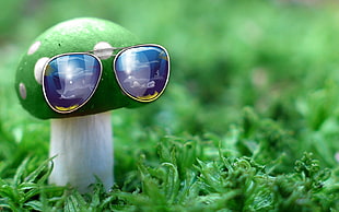 silver-colored aviator sunglasses on green mushroom HD wallpaper
