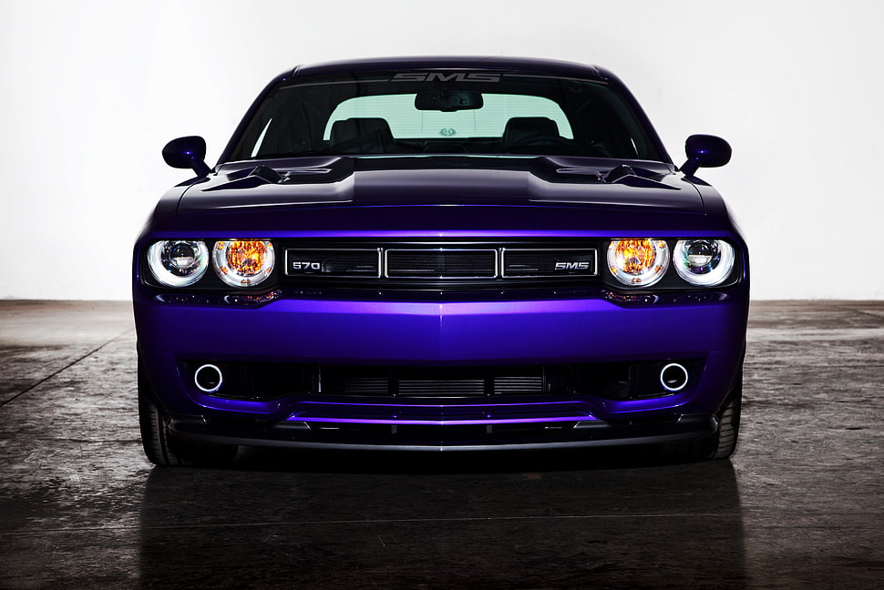 blue vehicle, Dodge Challenger, purple, purple cars, vehicle HD wallpaper