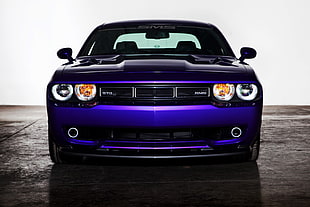 blue vehicle, Dodge Challenger, purple, purple cars, vehicle HD wallpaper