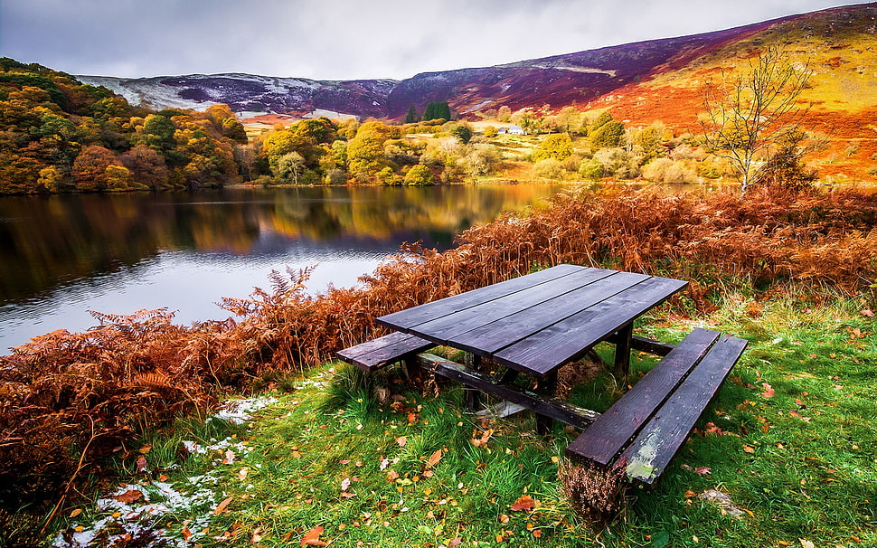 blue and green wooden picnic table, nature, landscape, table, bench HD wallpaper