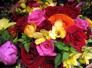pink, yellow, and red bouquet of petaled flowers