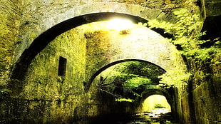 brown stone archway, medieval, bridge, stones, green