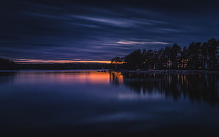 green tree lines beside body of water during golden hour