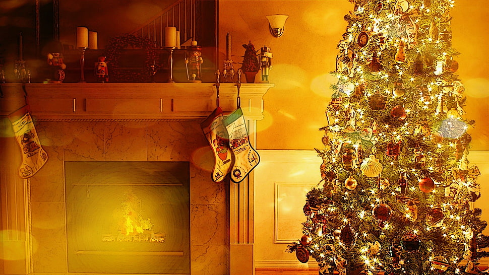 two christmas stockings on brown wooden fireplace mantel beside christmas tree HD wallpaper