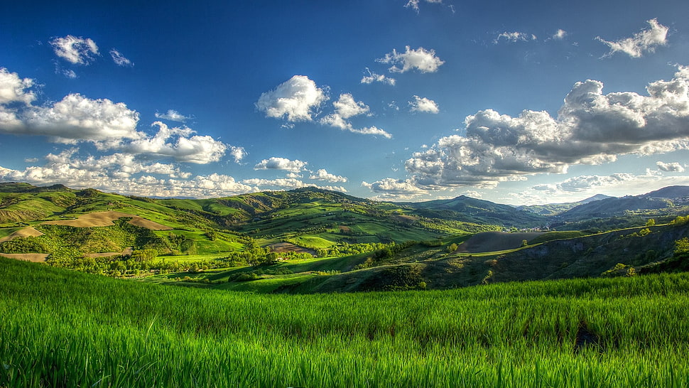 mountain illustration, nature, landscape, trees, clouds HD wallpaper