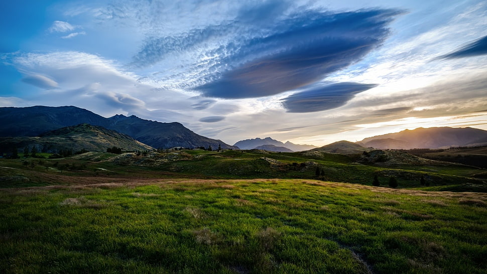 green farm during daytime HD wallpaper