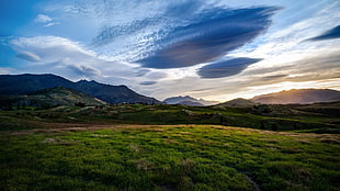 green farm during daytime HD wallpaper