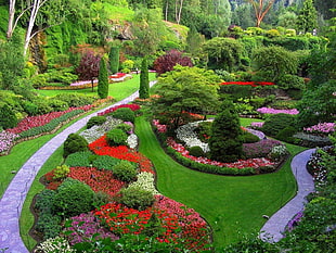photo of Garden