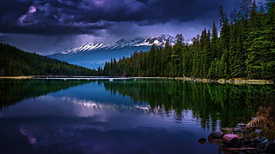 calm lake near forest HD wallpaper