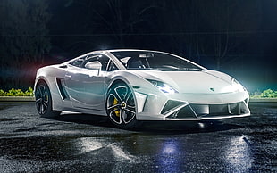 white sports car, Lamborghini, car, supercars, silver cars