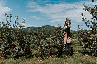 women's black leggings, Girl, Harvest, Apples