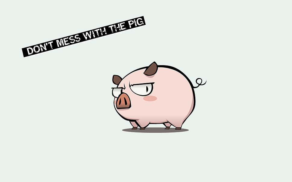 Don't mess with the pigs illustration, pigs, typography, digital art, humor HD wallpaper
