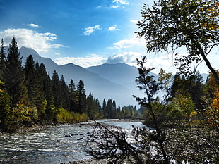 timelapse photography of river surrounded by green trees near mountain range during daytime