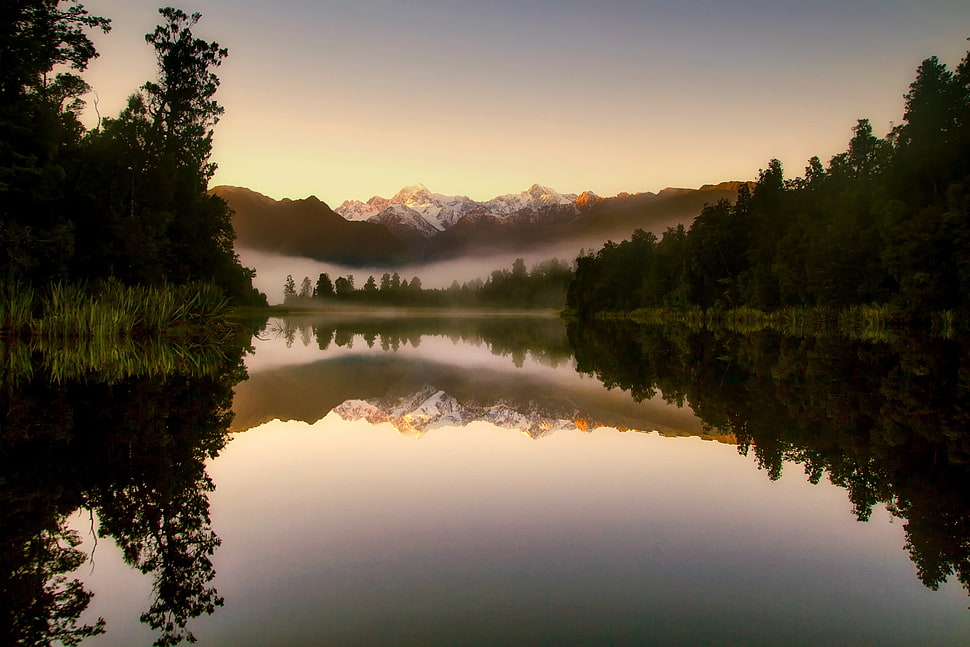 calm body of water surrounded by trees during golden hour HD wallpaper