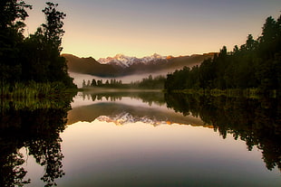 calm body of water surrounded by trees during golden hour