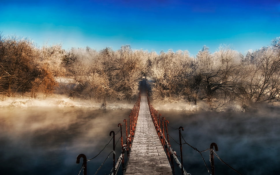 brown bridge, winter, forest, mist, bridge HD wallpaper