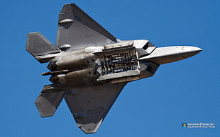gray fighter jet, F-22 Raptor