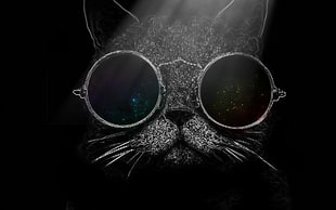 cat with sunglasses illustration, cat