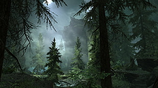 light passing through trees digital wallpaper, The Elder Scrolls V: Skyrim, cave, trees, video games