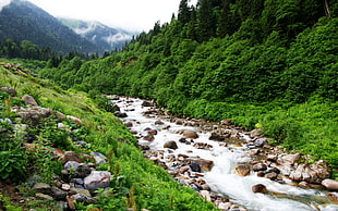 mountains and stream, nature, landscape, Turkey, river