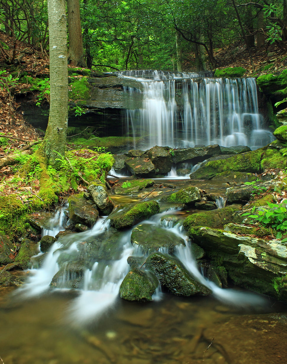waterfalls with green moss between forest HD wallpaper